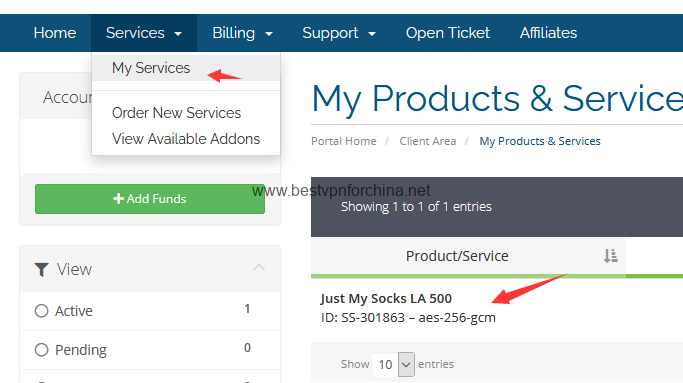选择 my services，获取套餐信息