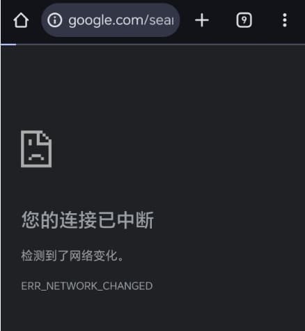 Netherlands-Amsterdan-str-ams308 节点连接后无法访问网络